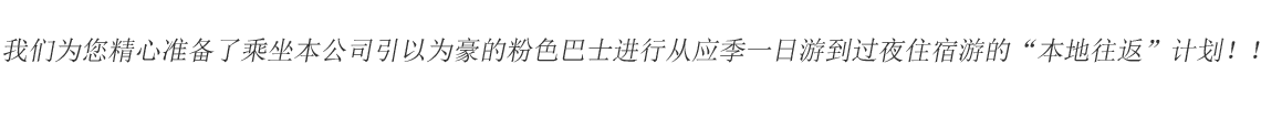 我们为您精心准备了乘坐本公司引以为豪的粉色巴士进行从应季一日游到过夜住宿游的“本地往返”计划！！
